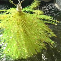 Fish Spawning Koi Breeding Brush Laying Eggs Rope Spawning Mop Pond Filter Hatching Grass Brush Aquaculture Fish Tank Accessorie