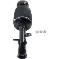 AP01 Luftfederdämpfer hinten links für 2003-2008 Lexus RX300 RX350 400h 4809048030 4809048010