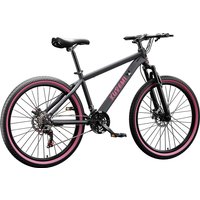 AliExpress SKIG Women's Mountain Bike With Variable Speed Men's Double Disc Brake And Youth Shock-absorbing Bike