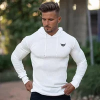 Autuman Hooded T-shirt Men Pit Stripe Slim Fit Thin Sweaters Mens Long Sleeve Pullovers Knittwear Men Casual Elasticity knitting