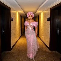 Aso Ebi Traditional Bride Dress with Overlay Lace Applique Elegant Prom Dresses with Sleeve Customized Long Prom Dresses Beading