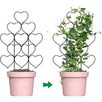 Plant Support Gardening Gadgets Balcony Accessories Plants Bonsai Tool For Seedlings Utensils Trellis Supplies Growth Climbing