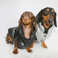 Winter Cute Down Jacket for Wiener Dogs Thick Vest for Dachshund Dogs in Cold Weather Warm Sleeveless Coat for Badger Dogs