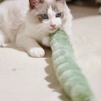 Caterpillar Cat Chew Chew-Resistant Scratch Resistant Cats Pillow Soft Comfort Bite-Proof Cat Teaser Stick Self-Entertainment