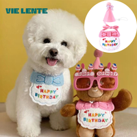 Make Your Pet's Birthday Special with This Pet Birthday Hat Scarf Set Adjustable, Cat/Dog Birthday Supplies Mini