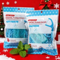Family-Size Mint Dental Flossers 300 Count with Portable Floss Case Convenient for Daily And Travel Use
