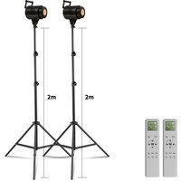 SH COB Videoleuchte 135W/115W/90W Fotografie Tageslicht-Balancierte Sonnenlampe für Porträt-Blitz Studiozubehör Youtube Live