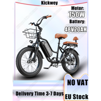 AliExpress NONE LD20 Electric Bike 750W Powerful Motor 48V20AH Removable Battery Adult City E-bike 20*3.0-in Fat Tire Two Seat Electric Bicycle
