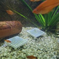 Aquarium Moss Holder with Stand for Live Aquatic Plants in Fish Tank