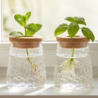 Transparent Hydroponic Plant Vase with Wooden Lid Imitation Glass Desktop Planter Soilless Growing for Decor Visible Root Growth