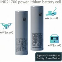 Industrial grade INR21700 M50LT 21700 battery cell 5000mAh garden blower, brush cutter, high-power battery raw material