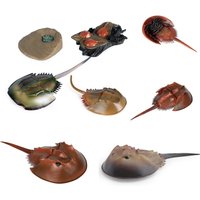 Realistic Horseshoe Crab Figurine Growth Cycle Model ancient Marine Sea Life Animal Educational Learning Toy Gift for Kids