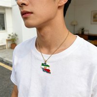 Historical Iran Flag Necklace Persian Empire Lion Sun Flag Necklace Faravahar Necklace With Iran Map unisex Ethnic Jewelry Gift