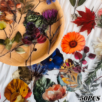 50pcs Plant Specimen Stickers Luggage, Laptop, Scrapbook, Journal Decor Art Board, Guitar, Skateboard, Water Bottle DIY Decals