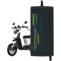AliExpress JHOPASS 48V 50AH 52AH 6 LED Display Smart Lead Acid GEL Water Battery Charger for Motorcycle E-bike Scooter AC110V-220V EU AU US UK Plug
