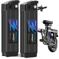 Aleaivy 36V/48V 10Ah 12Ah 16Ah 20A Silver Fish Removable Lithium Battery Pack Built-in BMS For 250W-1800W Folding E-Two Wheeler