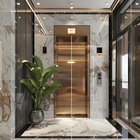Deposit Price Elevator 2floor 3 Floor 4 Floor Hydraulic Elevator Home Lift House Lift Electric Elevator
