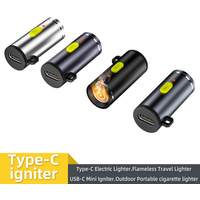 Type-C Flameless Mini Electric Lighter Compact Portable Igniter USB-C Cigarette Lighter for Air Travel Outdoor Easy Storage