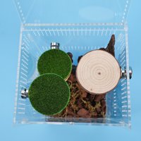 1PC Magnetic Reptile Ledge Spider Jumping Platform Wooden Terrarium Decor for Tarantula Gecko Lizard Habitat Enrichment Supplies