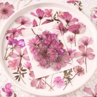 50pcs PET Floral Stickers for DIY Scrapbooking, Photo Album Collage Decors for Journaling Scrapbooking Decals Stickers