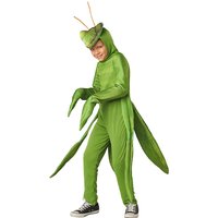 2025 New Arrival Halloween Green Grasshopper Insect Book Week Outfit Dress Up Child Praying Mantis Costume