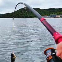 Carbon Powerful Fishing Rod 2.1-4.5M Sea Pole Max Control 10kg Slip Floating Fishing Rod Far Cast Multi-purpose Spinning Rod