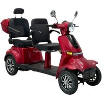 New Den Two Seat Four-Whee Electric Mobility Scooter Travel Together with 60V20AH Lithium Battery for the Eld