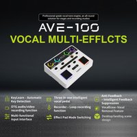 Audota Ave-100 Vocal Processor with Reverb, Delay, Pitch Correction & Harmony Modes - Auto Key Detection & Vocal Cancellation