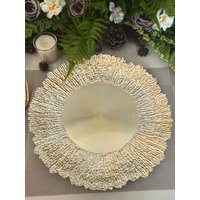 100 PCS Charger Plates Shiny Tray Round Plates 13 Inches Decoration Service Plate For Table Setting