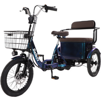 AliExpress Daibot 18 Inch 650W 48V Adults Electric Bike 3 Wheels Folding With Passenger Seat Basket Electric Tricycle 2 People For Family Elderly