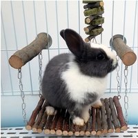 Rabbit Chinchillas Wooden Swing Hamster Hammock Chewing Toys Small Animal Hanging Bed Branch Wood Foraging Mat For Guinea Pig