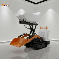 500kg Crawler Dumper Mini Truck EURO 5 EPA High Quality Engineering Dumper Fast Delivery Factory Customize