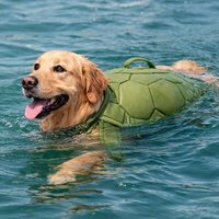 Dog Swimsuit Spring Summer Outdoors Playing Water Buoyancy Suit Wetsuit Large Mediumsmall Dogs Adjustable Pet Supplies