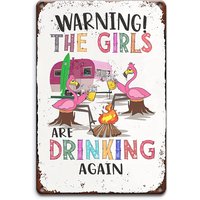 "WARNING THE GIRLS ARE DRINKING AGAIN" Humorous Metal Sign - | Vintage-Inspired Aluminum Wall Decor with Pink Flamingos & Van S