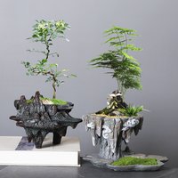 Chinese-style personalized retro creative asparagus resin flowerpot indoor fleshy June snow potted flower decoration ornaments