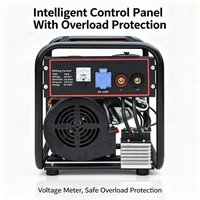 Portable Diesel Welder Generator Dual Purpose Engine Driven Arc Welding Power Machine for Outdoor Job Site