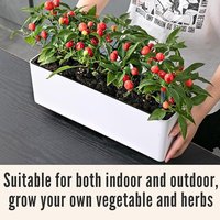 Narrow Long Strip Window Edge Balcony Vegetable Pot Special Planting Box for Family Courtyard Lazy Watering Absorbing Flowerpot