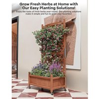 61 Inch Raised Garden Bed with Trellis & Wheels, Wooden Mobile Elevated Planter Box with Drainage Holes, Indoor Outdoor Patio Vegetable Herb Flower Planter,1Pack