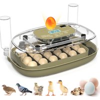 24 Egg Incubator for Hatching Eggs with Auto Turn, Temp & Humidity Control, Built-in Candler Large Capacity Egg Incubator for Chicken Duck Goose Eggs