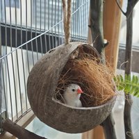 Natural Coconut Bird Nest Hut with Ladder for Parrots Parakeet Conures Cockatiel Hanging Small Animals House Pet Cage