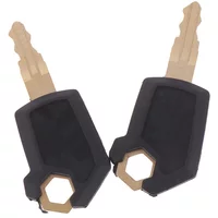 2PCS Key For Caterpillar 5P8500 Heavy Equipment Ignition Loader Dozer Metal & Plastic Black & Gold