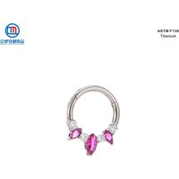 QM ASTM F136 Titanium Hinged Segment Hoop Nose Ring Clicker with Clear and Ruby Zircon Earrings Body Piercing Jewelry