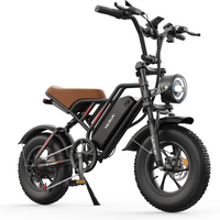 AliExpress VARUN Varun Plorer Adult E-Bike 250W 48V 13Ah Battery 16 Inch Fat Tire Off-Road Electric Mountain Bicycle