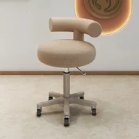 Firm Beauty Stool Lift Big Chair Pulley Hairdressing Manicure Barber Shop Backrest Round Chair Factory