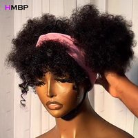 10-18 Inch Glueless Afro Kinky Curly Wigs Human Hair 400 Density 100% Human Hair Wigs 13x6 HD Lace Frontal Wigs for Black Women