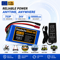 24V 100Ah Wiederaufladbarer 18650 Lithium-Akku 7S3P EU-Lokallager mit 29,4V 2A Ladegerät Ersatzakku für Moped Elektroroller E-Bike