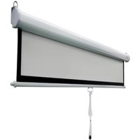 Custom Size 120'' Manual Pull Down Projection Screen for School