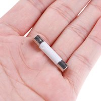 10 Pcs Microwave Ceramic Fuse Electric 20A 250V Home Supplies DIY 6x30mm