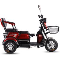 Hot Sale 600W 48V Battery 3 Wheel Electric Bike Cargo E Bike Electric Tricycle for Adults