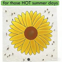 10pcs Sunflower Insect Stickers – Odorless Fly Traps for Mosquitoes & Fruit Flies, Window Wall